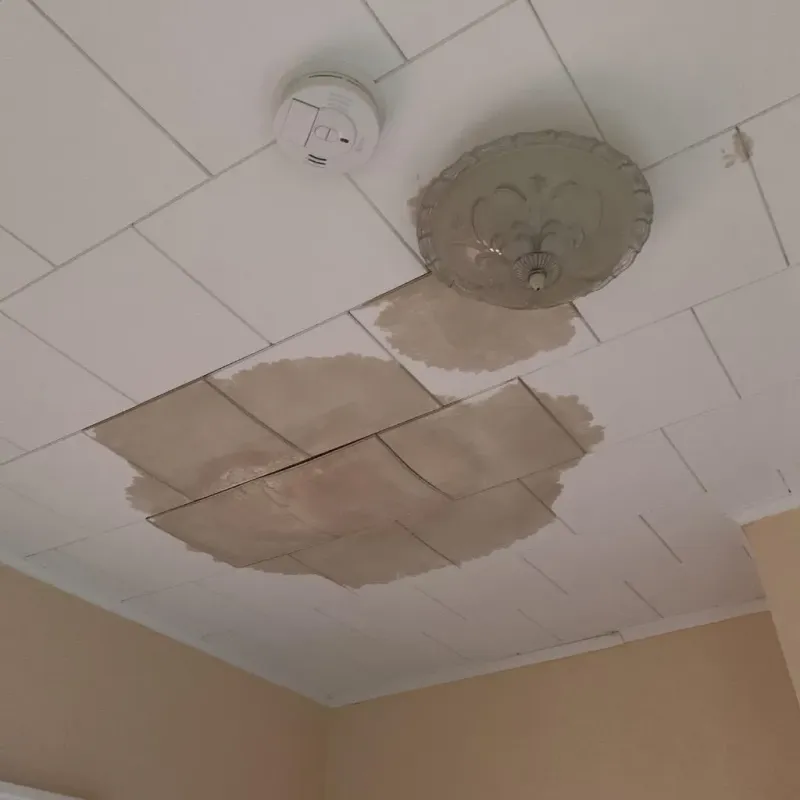 Ceiling Water Damage Repair in Itasca, TX
