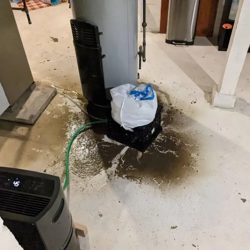 Sewage Backup Cleanup Service in Itasca, TX